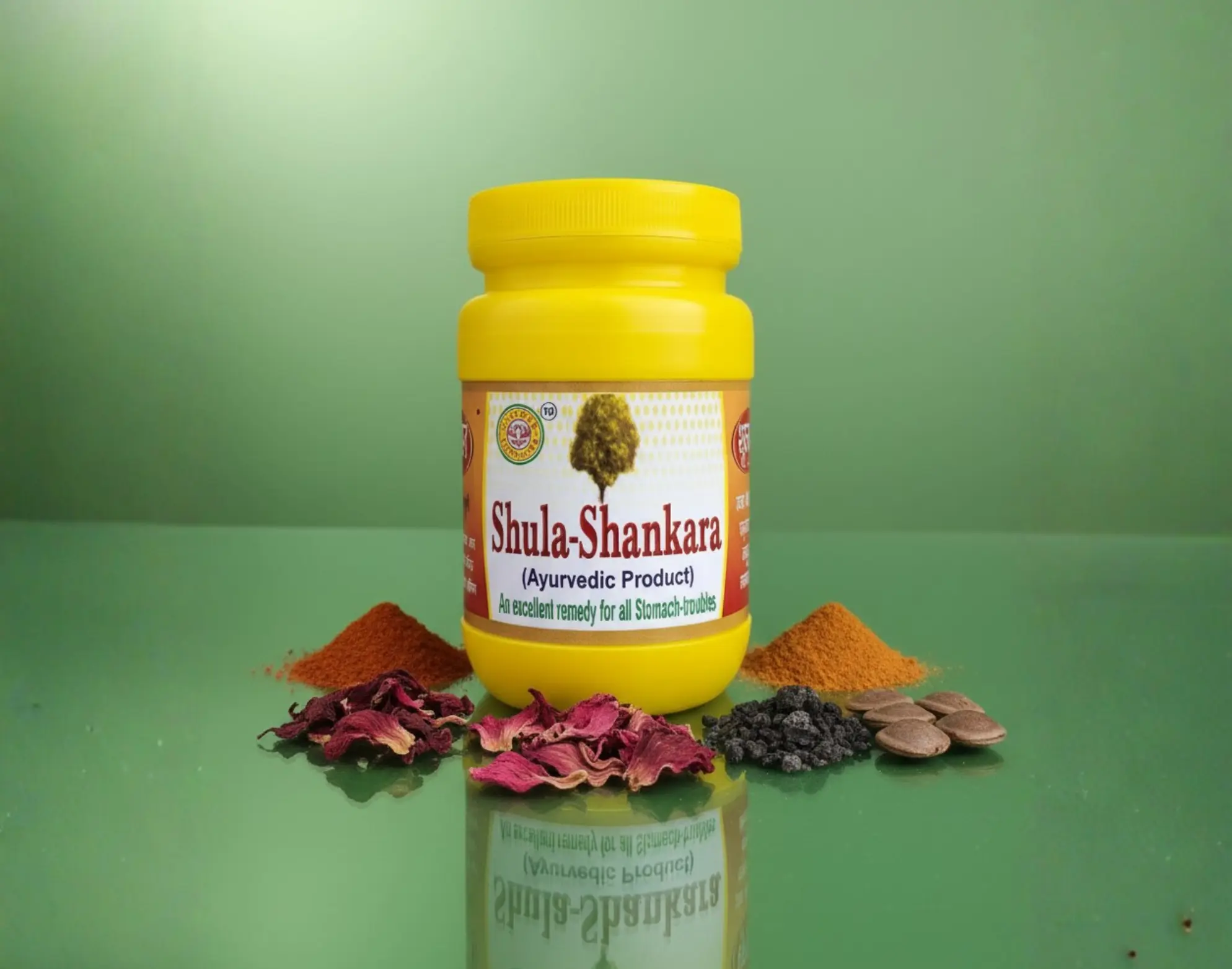 Shula Shankar